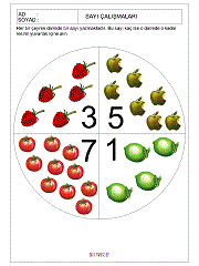 kavram gelişim çalışmaları sayılar